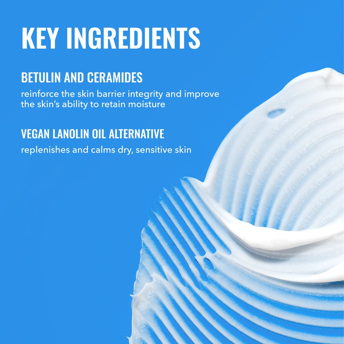 rich-cream-with-ceramides-v5 zb_p.jpg